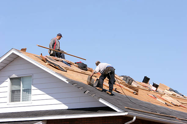 Best Metal Roofing Installation  in Allendale, SC